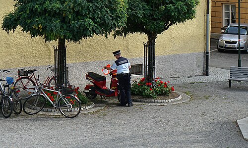 Polizeibehörde (Einheitssystem)