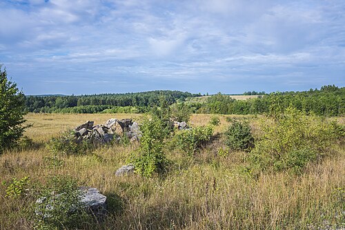 Am Rand der Steppe des Brönnhofsim August 2019