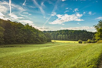 Jeusinggrund hinter Zell bei Schweinfurt