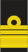 Vice Admiral