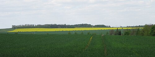 Hummelberg (Schönebeck)