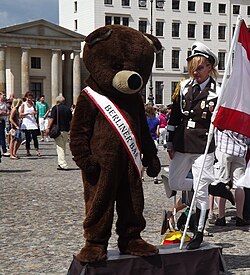 Bär als Kostüm
