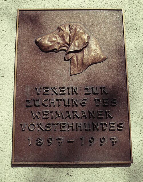 Bettina-von-Arnim-Straße (Weimar)
