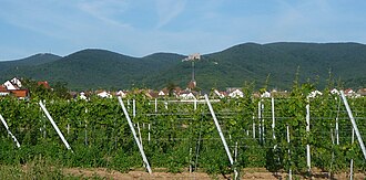 Die Haardt südlich von Neustadt/W. (Diedesfeld); von links nach rechts: Kalmit (673,64 m), Taubenkopf (603,8 m), Hambacher Schloss, Hohe Loog (618,7 m)
