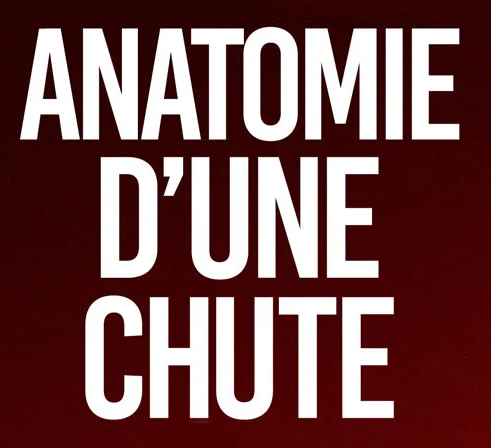 Anatomie eines Falls