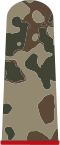 Kanonier oder ehe­mals Panzerkanonier(Feldanzug)